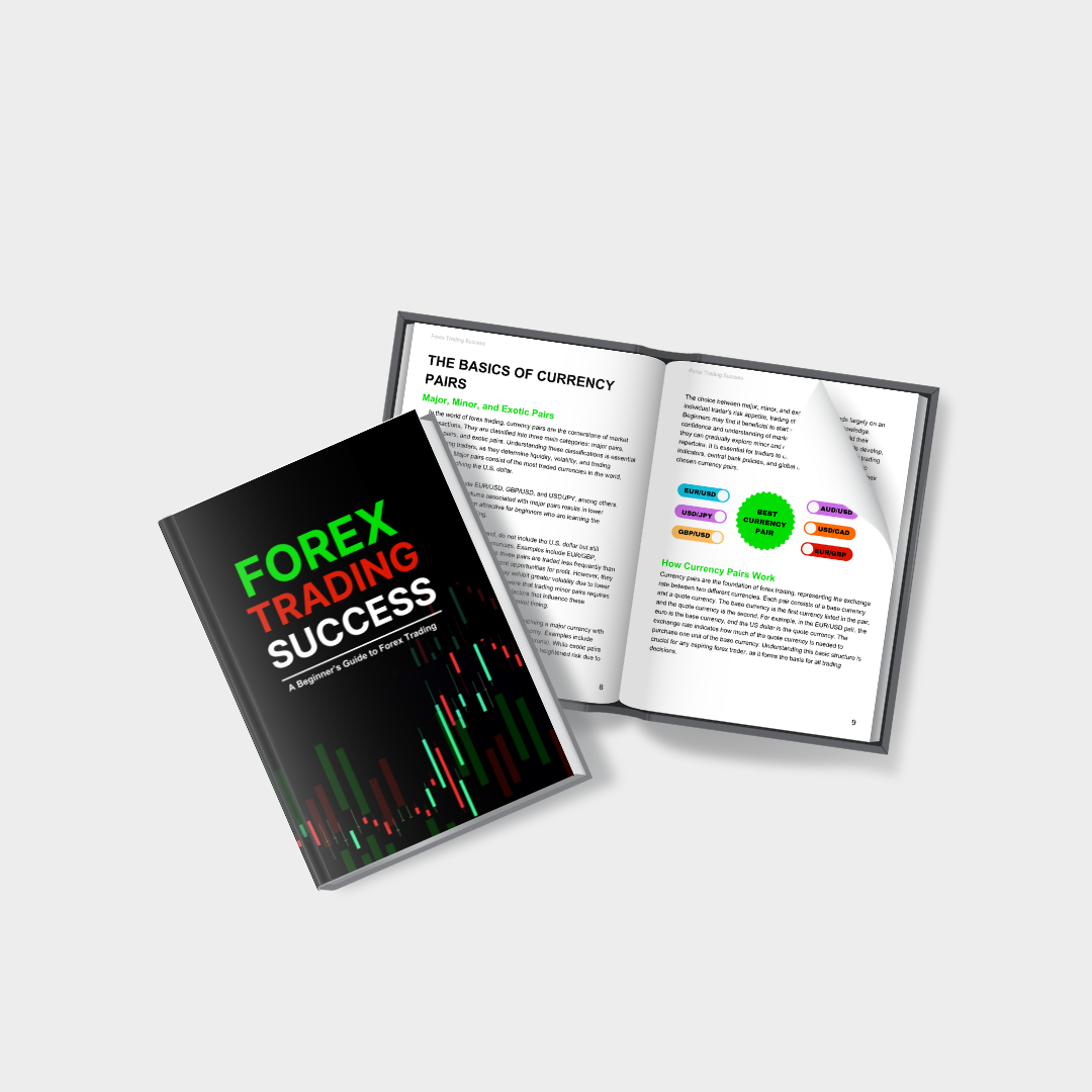 80-Page Forex Beginner Guide - PLR Digital Download